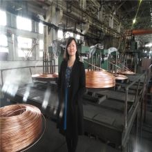  晉州市博雅工藝禮品廠 主營 紫銅工藝品擺件,紫銅